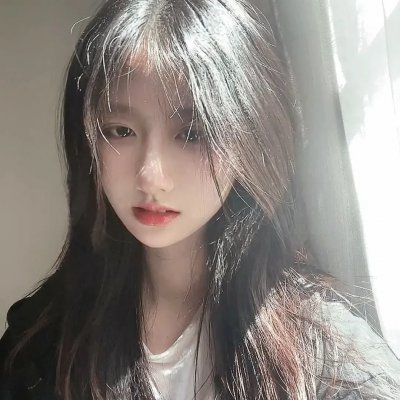 皮层